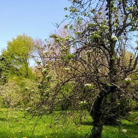 D'albertine Holiday home