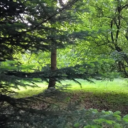 D'albertine Ully-Saint-Georges