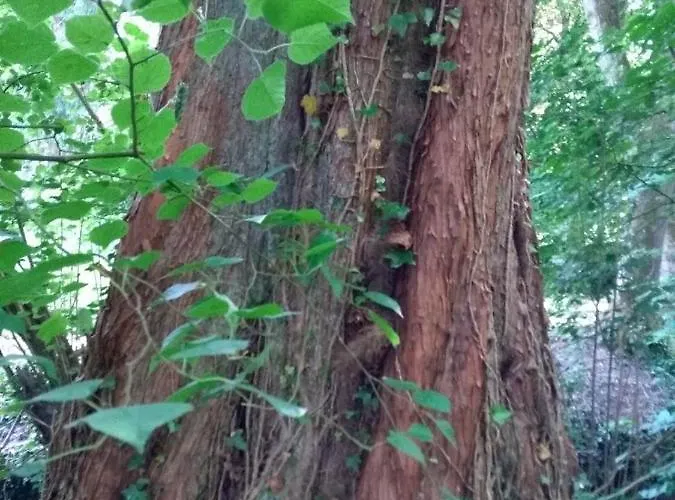 Сasa de vacaciones D'albertine Ully-Saint-Georges