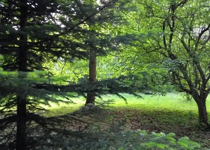 D'albertine Ully-Saint-Georges